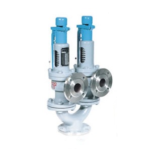 Duplex spring safety valve