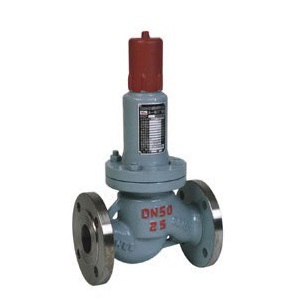 AHN42F parallel safety return valve